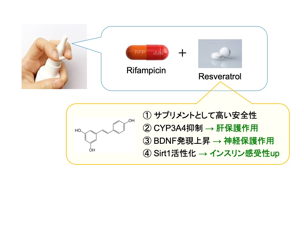 }2@ Rifampicinresveratrol̍ܓ_@̃C[W