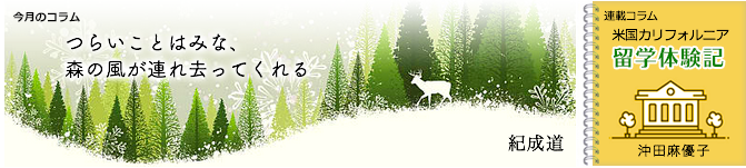 �����̃R�����@�A�ڃR����